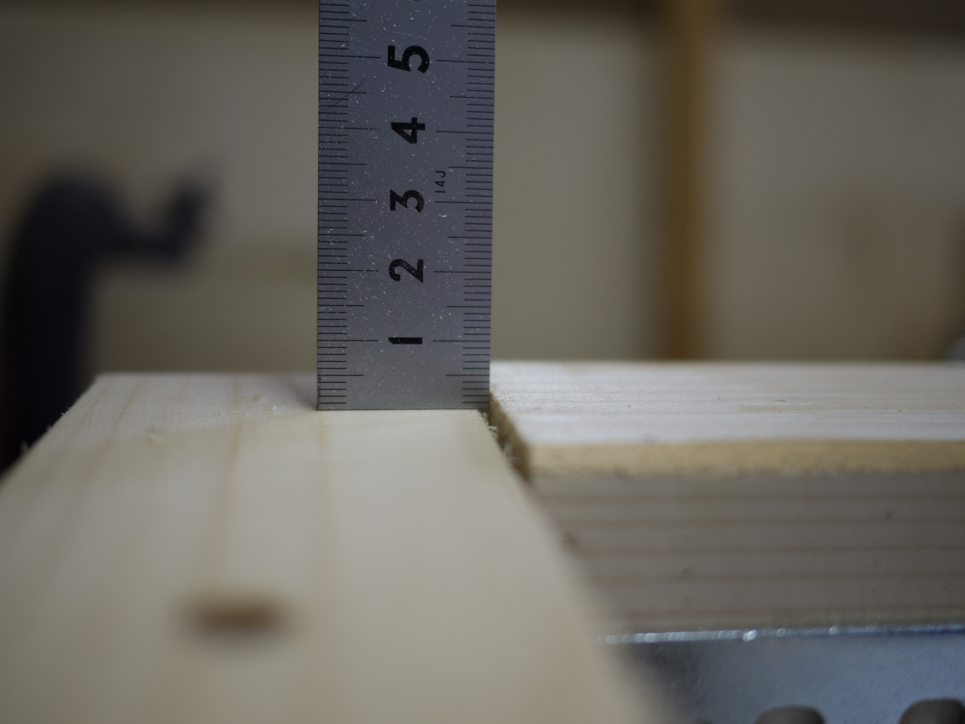 20170531 Balkenbett 018